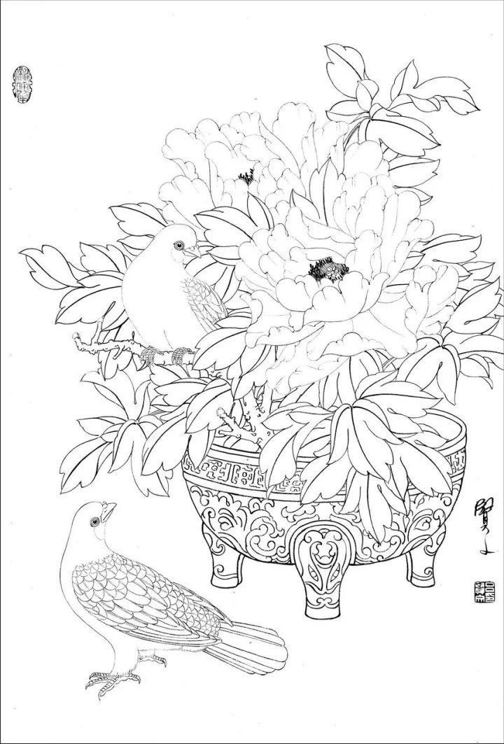 资料集|王道良实用花鸟白描资料集