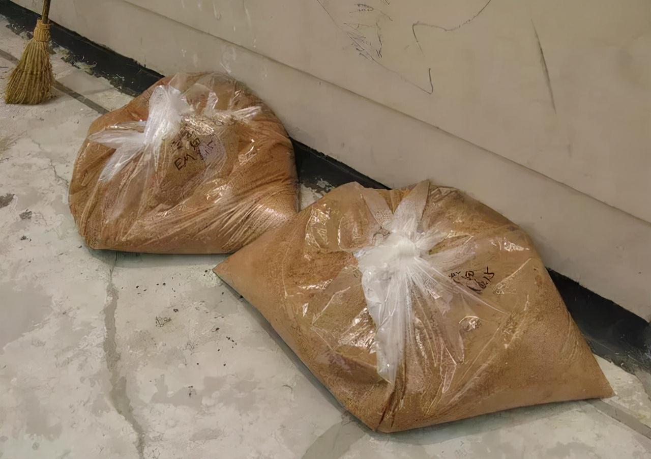 君子兰一点不长,两种傻瓜肥一上,网友养3月像养3年