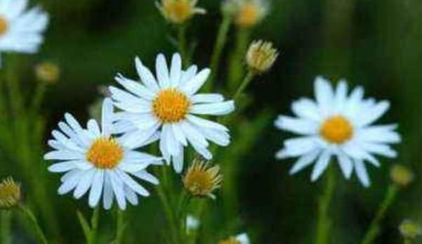 父母|孩子以后能否成大器,和成绩无关,这3句话点醒无数父母