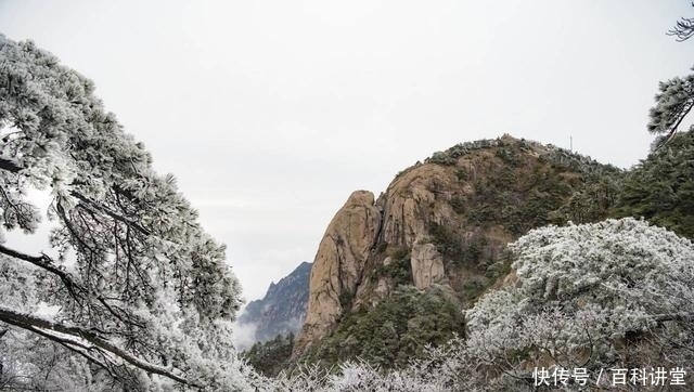 九华山|九华山迎来今冬第一场雾凇美景（组图）