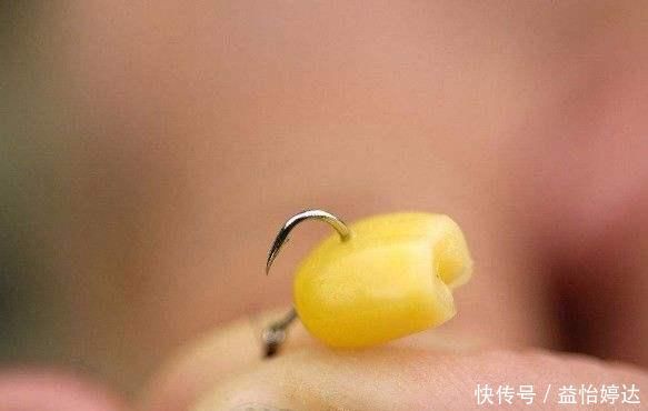 户外野钓，到底拿什么来钓鱼，才能钓得到，钓的多