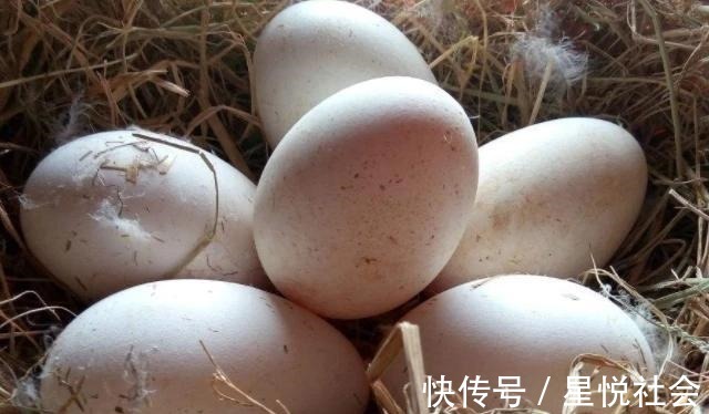 脂肪酸|怀孕后,4种食物孕妈尽量多吃点,或促进胎儿智力发育,别不舍得