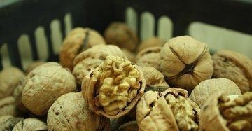 补脑|核桃虽然营养, 但早上吃好, 还是晚上吃好 答案不简单!