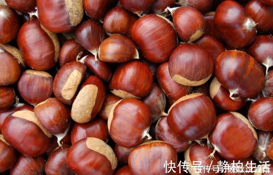 失眠|栗子和此物一起煮，失眠好了，大肚子平了，不想每天疲惫不堪试试