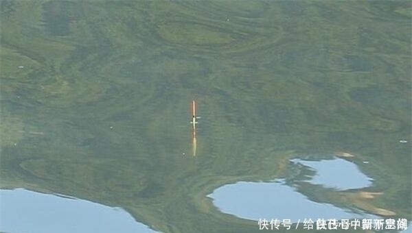 拉力|图解调漂的灵钝区别怎么调漂浮漂最灵敏,是钓鱼人的必修课