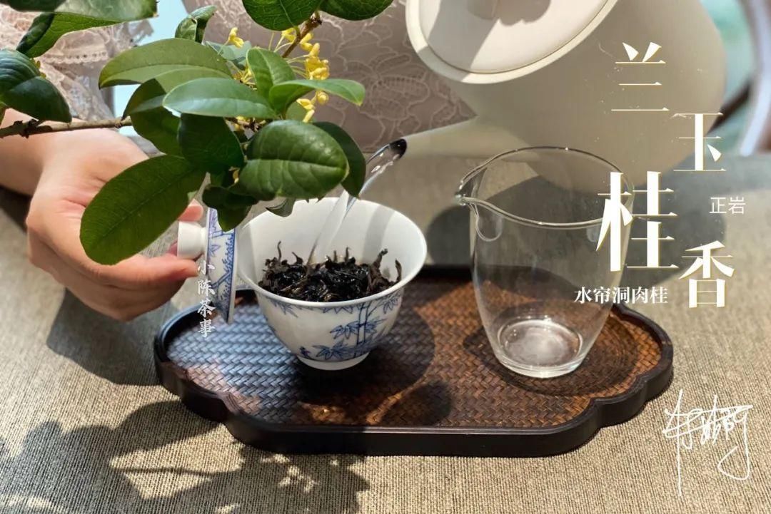 学术讨论|武夷岩茶还魂汤的学术讨论,专家不喝,茶客必留,这是为什么呢