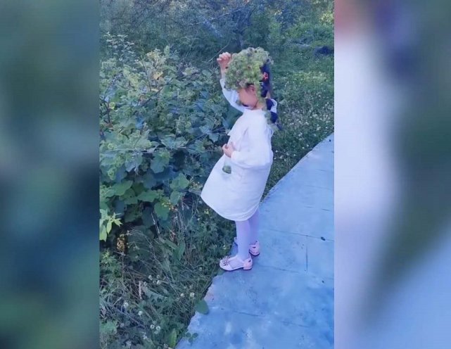 危险|女孩自制“牛蒡皇冠”,戴上时洋洋得意,摘下时哭着向奶奶求救