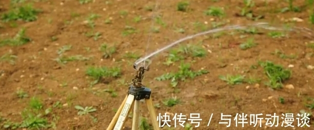 養(yǎng)羊|9.6分,這節(jié)目可把大明星虐爽了