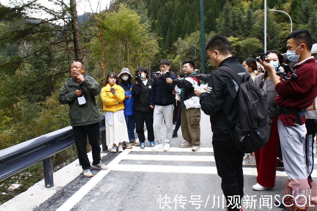 箭竹海|全域恢复开放，九寨沟13公里新景点等你来