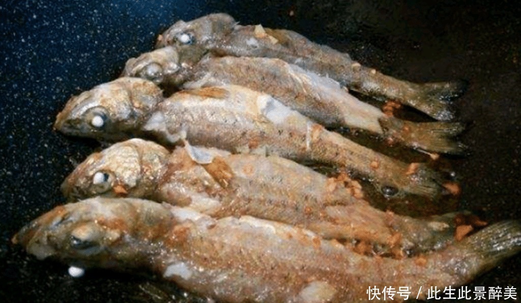 鱼肉|这6种海鱼既便宜又好吃,海鲜摊主看来是吃鱼的行家!