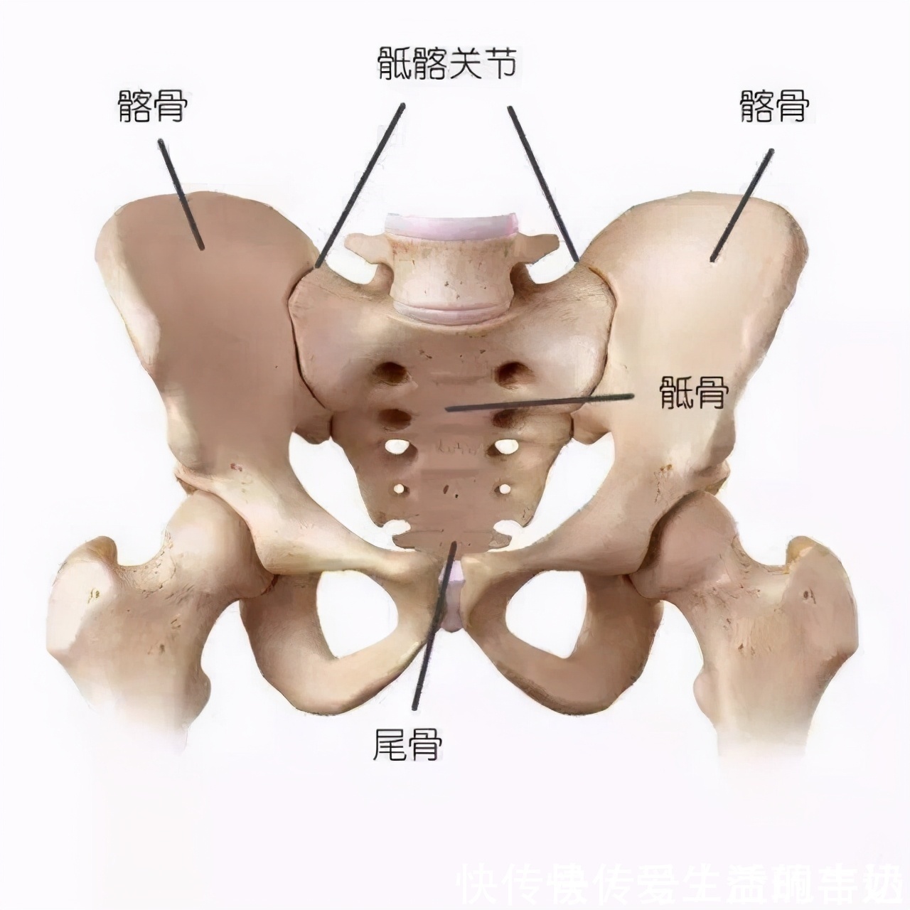 铝合金|科普|如何选购一把好的人体工学椅,拒绝肩周炎、颈椎病、腰椎病