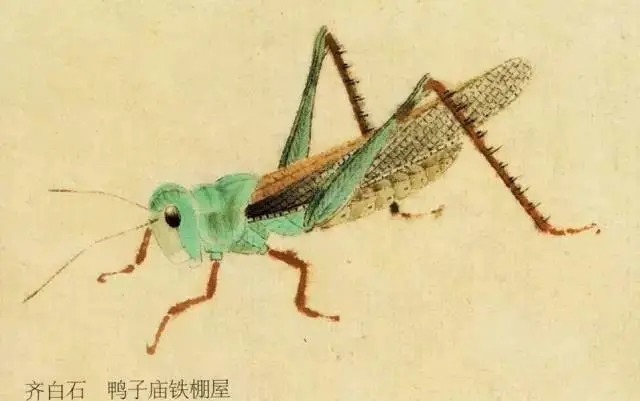蝈蝈$国画技法图典——草虫篇:蝗虫 蚂蚱 蝈蝈 螽斯 螳螂 蟋蟀