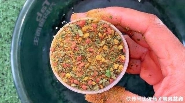 老司机|六月了，板鲫“狡猾”又难钓，多亏二十年老司机指点才钓过了瘾