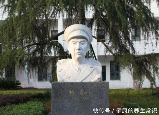 野战军|第二野战军,各兵团司令员是谁建国后什么军衔