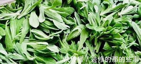 湿毒|夏季不想常生病,常用“祛湿王”泡水喝,排出身体毒素,排湿毒