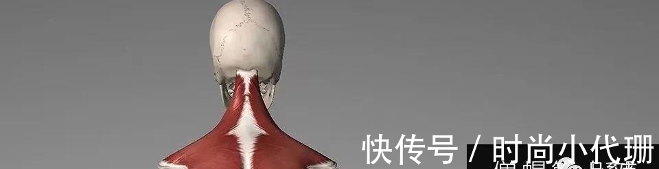 谣言|关于斜方肌的谣言，适可而止吧！