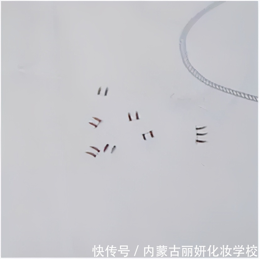 从眼妆到唇妆 ,手把手教你学化妆