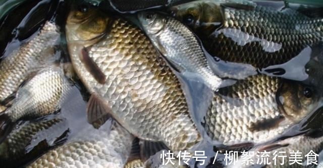 食用油|秋季,这鱼别错过,过一阵就少了,多做给孩子吃,脑子聪明记忆好!
