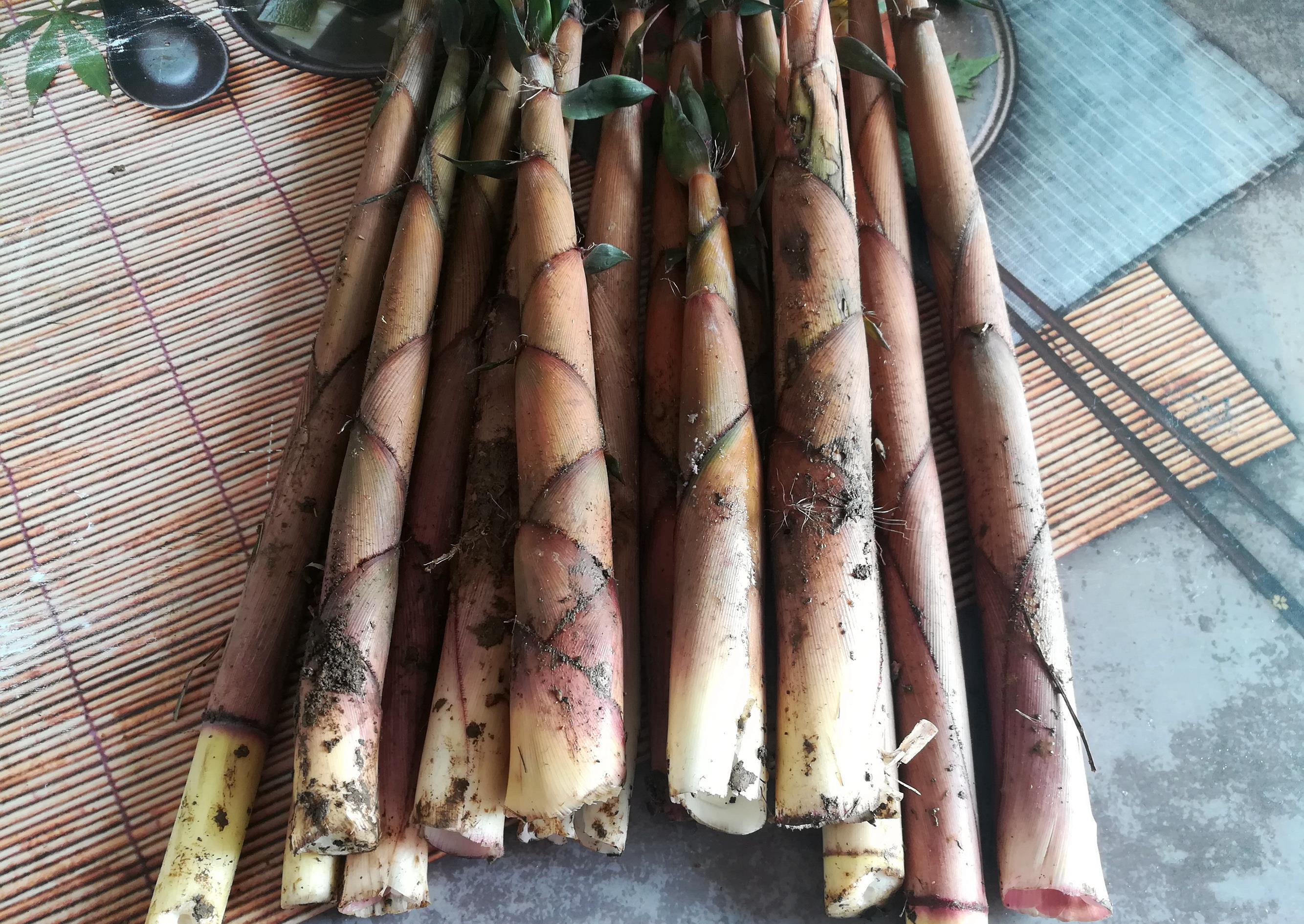 龙宝|农村里随处可见的6种野菜,第5种很多人都没吃过,网友:想试试