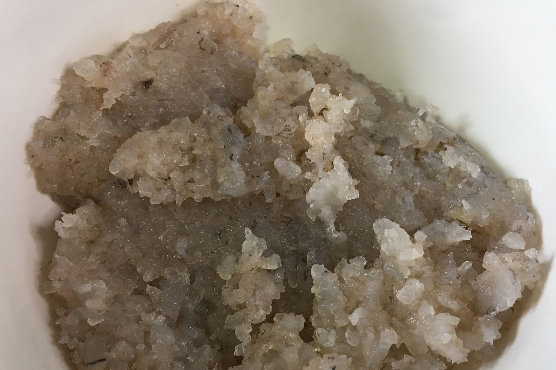 鲜虾|三伏天，这早餐多给孩子吃，高蛋白，特鲜美，体格强健长高个儿