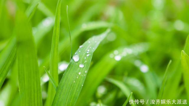 三伏至,想健康,以热逼寒,谨记“四怕”,不吃三饭、不睡三觉