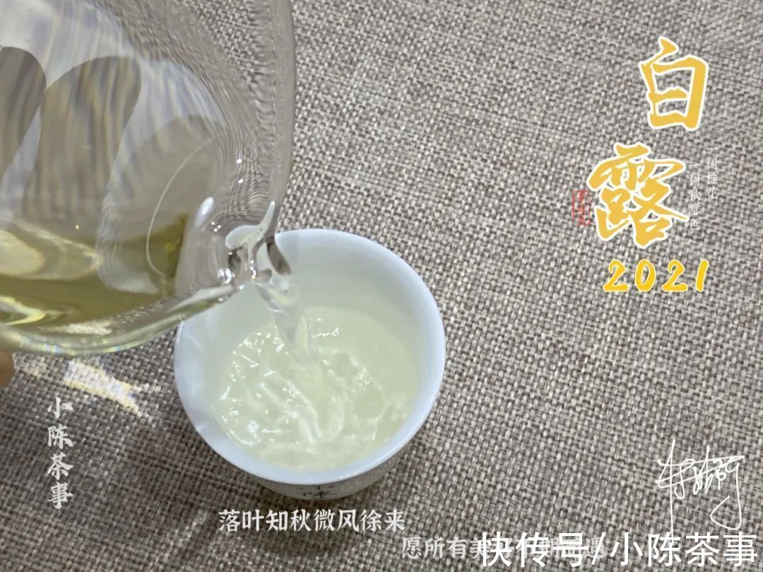 花香&漫长炎热天气的产物，茶汤带着花蜜般的鲜甜，2021白露茶我见犹怜