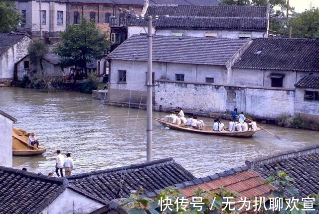 瑞光寺塔|江苏旧影1983年, 昔日苏州市沧浪区风景