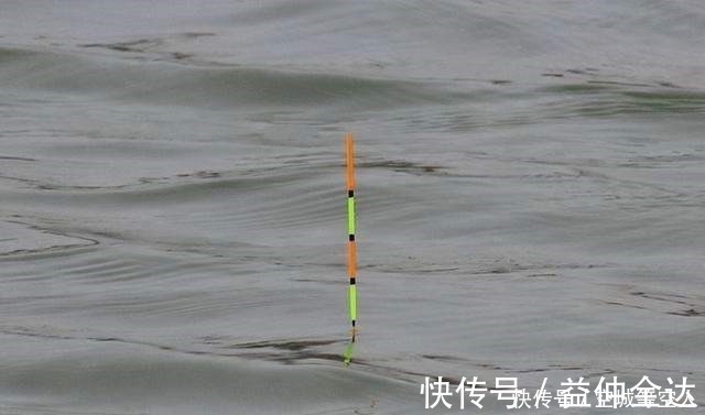 七星漂|不知道用七星漂还是立漂,看完这篇就知道了