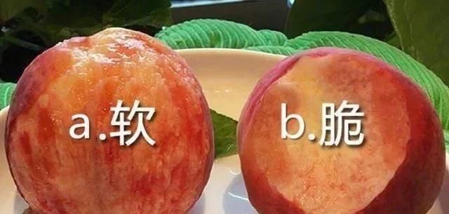 咸之争|南北方人口味差异有多大,甜咸之争不算什么,这才是众口难调