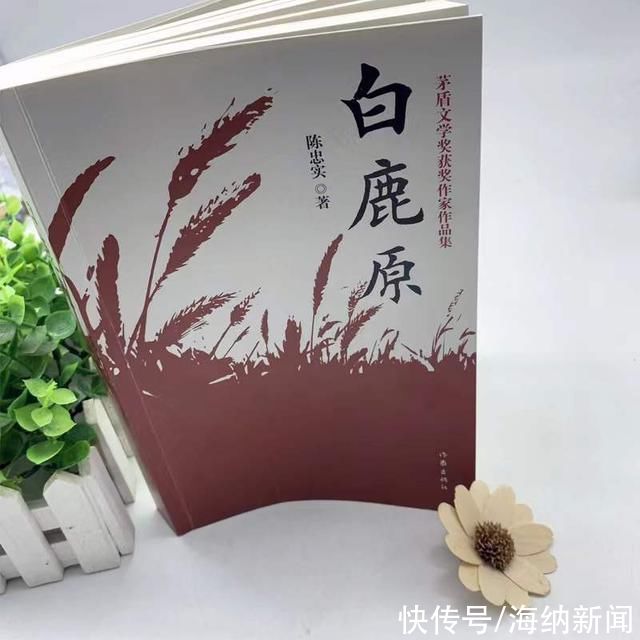 田小娥！再读《白鹿原》才发现，老实忠厚的白嘉轩，实际上是位“伪君子”