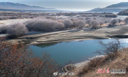 河曲马场|冬日在玛曲河曲马场跃马扬鞭