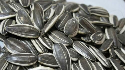 花生|瓜子和花生,一个让你长胖,一个让你减肥,你都吃对了吗?