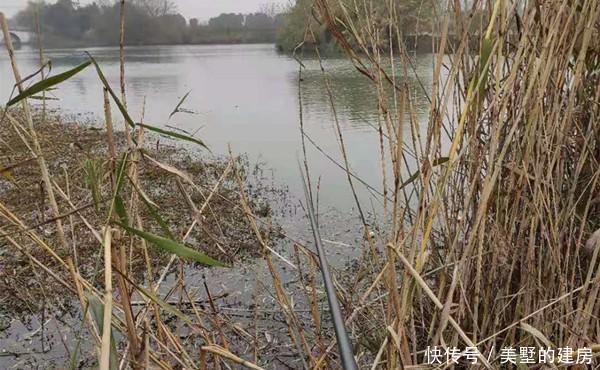 寒冬钓鲫鱼,野河才是“主战场”,用这种钓法,更容易钓到大板鲫