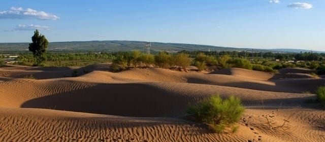 鄂尔多斯|已消失的沙漠：中国人再次战胜大自然，7万亩沙地变良田