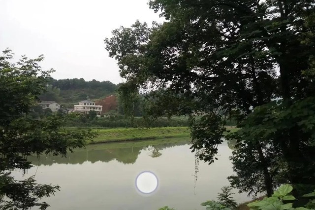 芒果台新综艺捧红另类网红，获得央媒夸赞，为行业树立新标杆