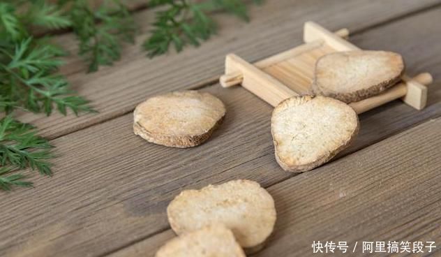 茯苓|一味常用的“除湿”良药,能“通泻三焦之水,清利一身之湿”