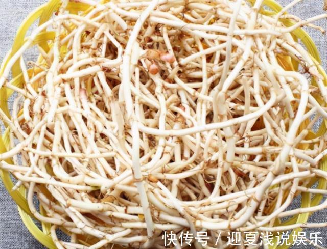 鱼腥草|减肥最该吃的菜，每周吃三次，清肠刮油，高营养高纤维，越吃越瘦