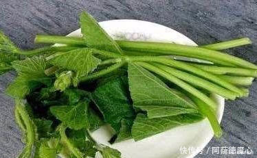 冬季养生要会吃,推荐几种好食物,延缓衰老,排毒消脂,越吃越好