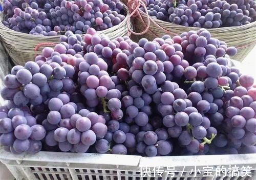 青苹果|女性不想显老，多吃3种食物，疏调肝气，增进食欲，提高消化功能