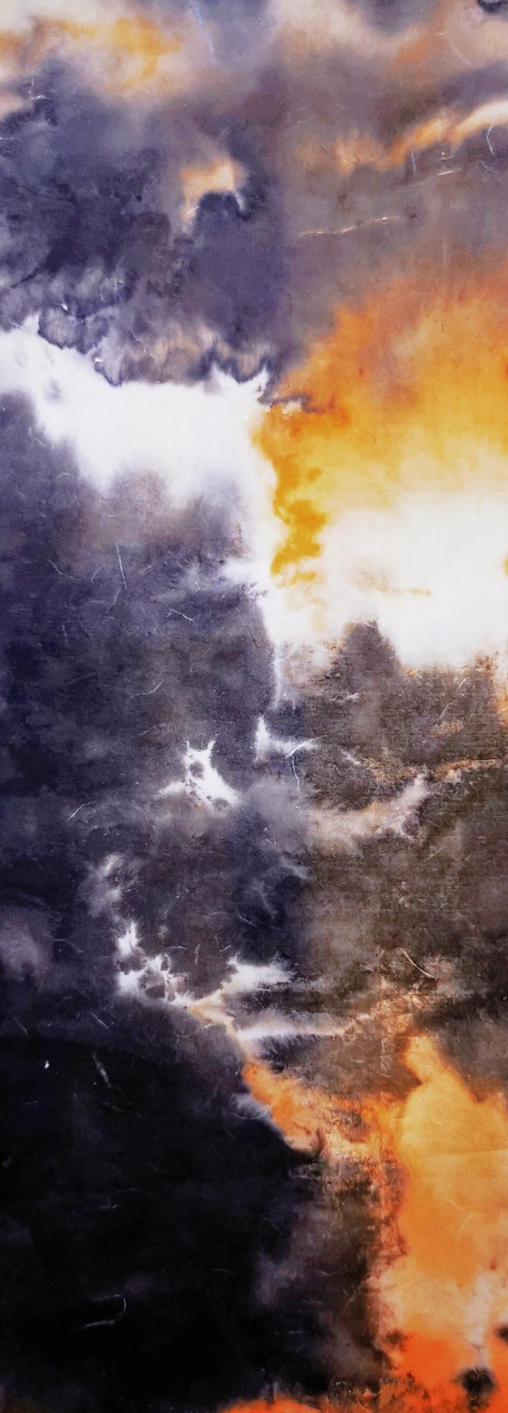 x60|丁显洲中国画作品赏析