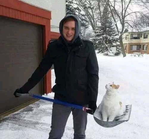 |搞笑图片幽默段子笑话:?哈哈,自行车还能够这样带女友,不错哦