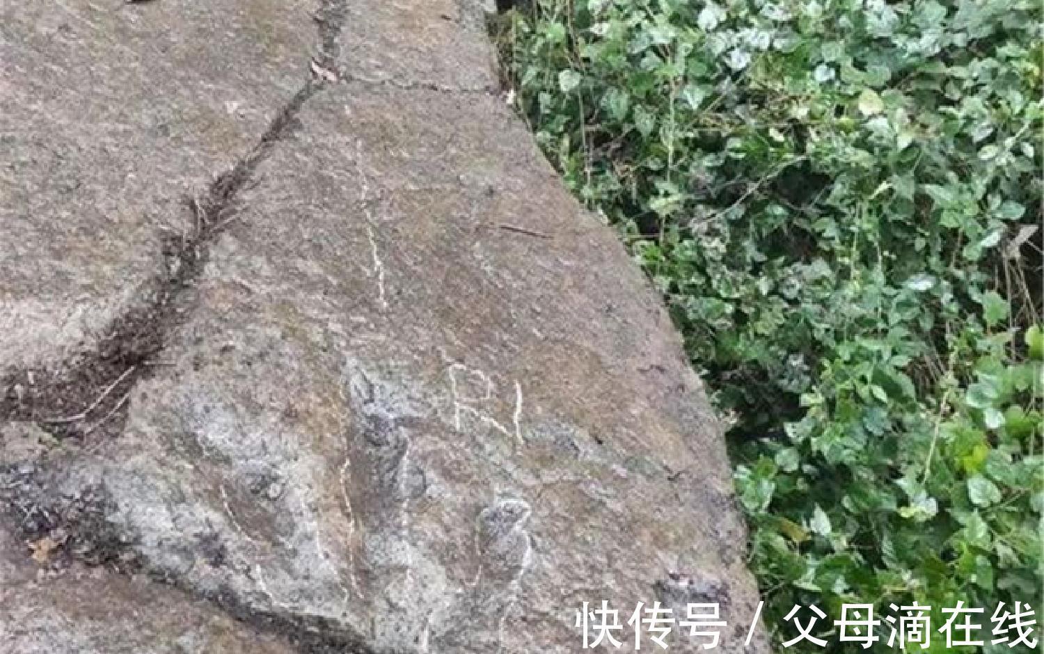 博物馆|10岁男孩随妈妈旅游，一眼找出博物馆的错误，又一个别人家的孩子