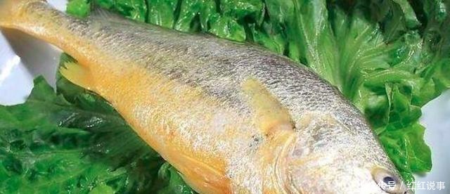 黄花鱼|这样做的黄花鱼营养又健康,大人小孩都爱吃!