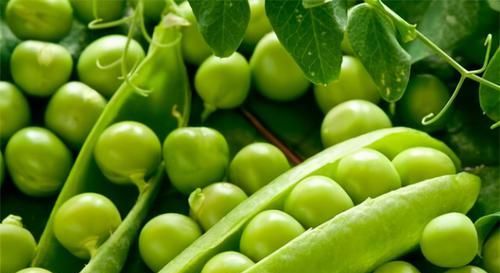 會吃的人最健康，3種食物離不開，促進新陳代謝，增強人體抵抗力