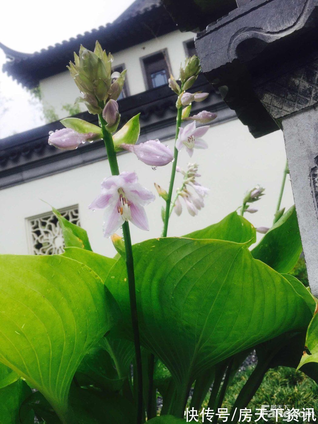 西安|请查收从西安临潼热门楼盘现场传来多张谍照（组图）