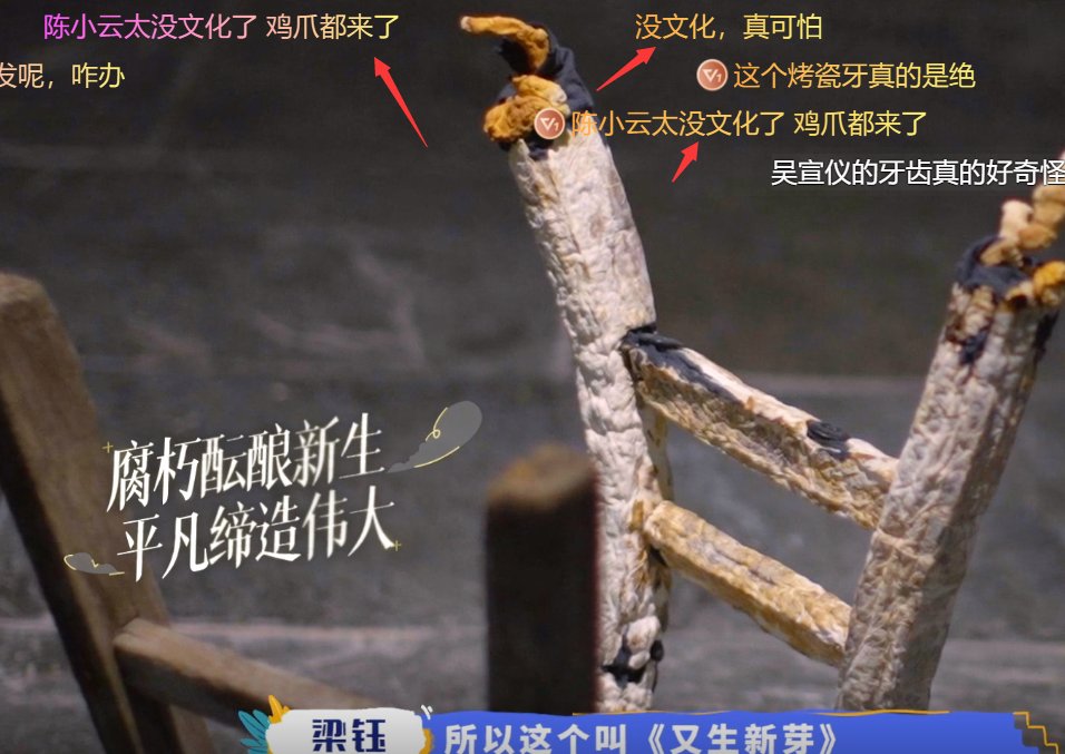 文化|陈小纭参加艺术展，错把灵芝看成鸡爪，网友：文化水平藏不住了