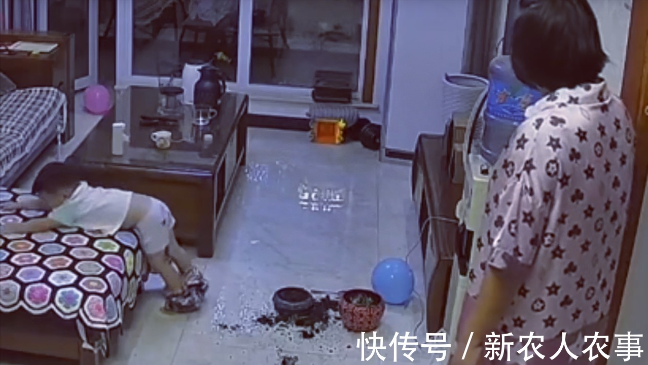 萌娃|河北一萌娃火了,犯了错直接脱裤子躺沙发上等待惩罚!网友:惯犯