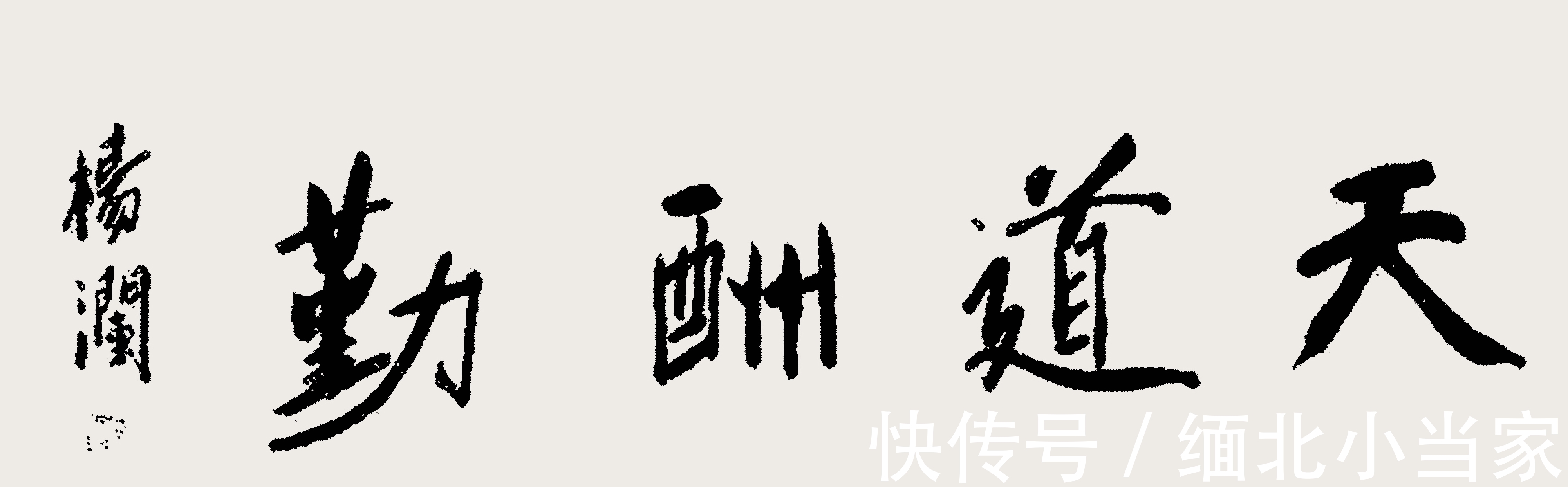 硬笔书法&杨澜有多美,她的书法也有多美,书协大佬也羡慕:希望多交流