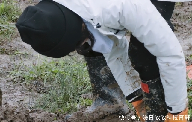 张子枫种树被嘲“划水”,谁注意她衣角上痕迹,是对男嘉宾的尊重