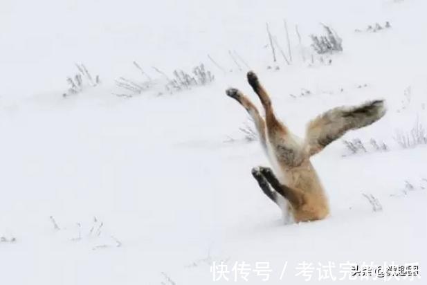 |47张“倒霉又搞笑”的图片,这些人上辈子是毁灭了银河系吗?